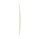 torq TET 6´3 - Fish - yellow - orange fade 