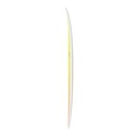 torq TET 6´6 - Fish - yellow - orange fade 