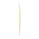 torq TET 6´10 - Fish - yellow - orange fade 